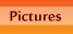 Pictures